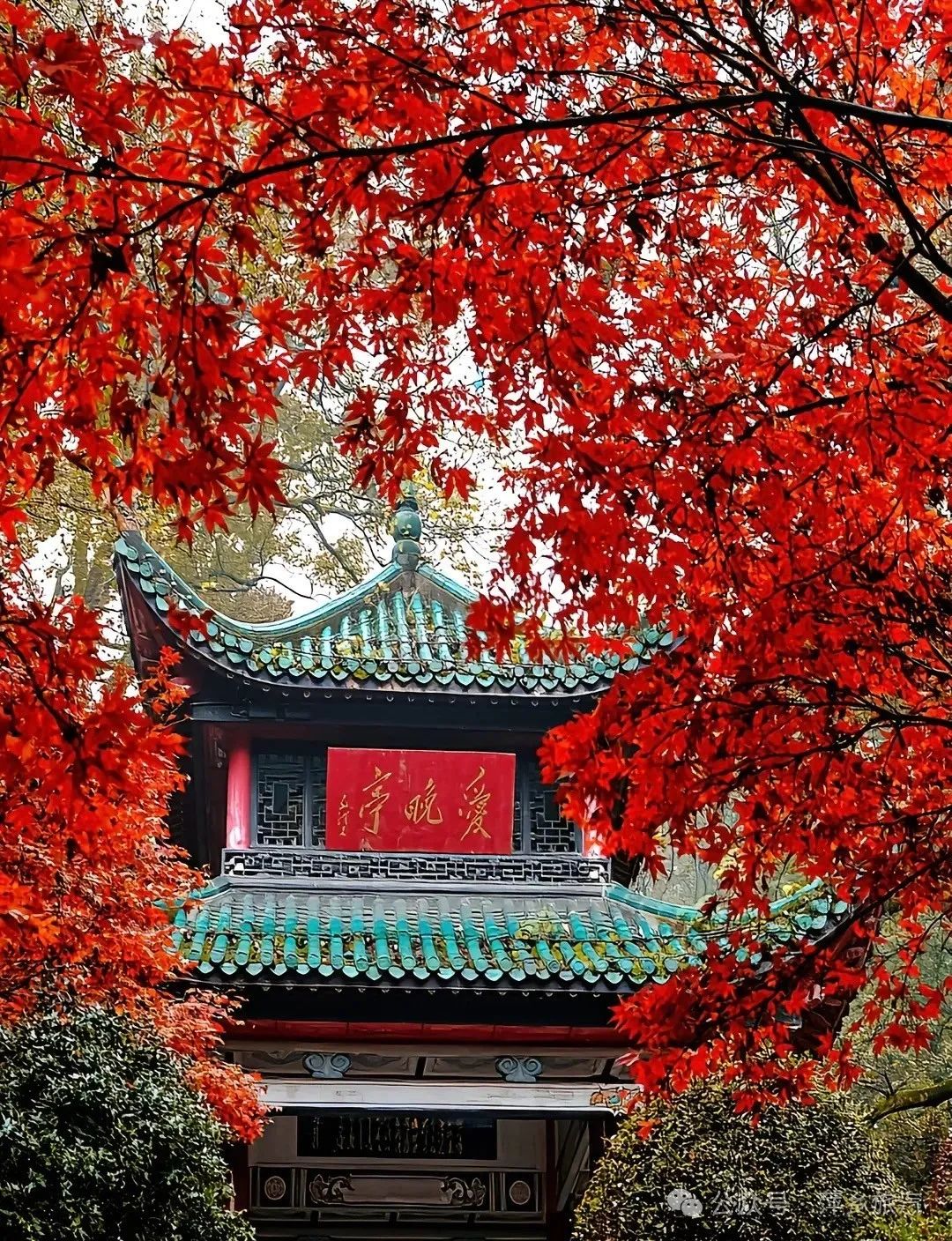 640 (4).jpg 640 (4).jpg