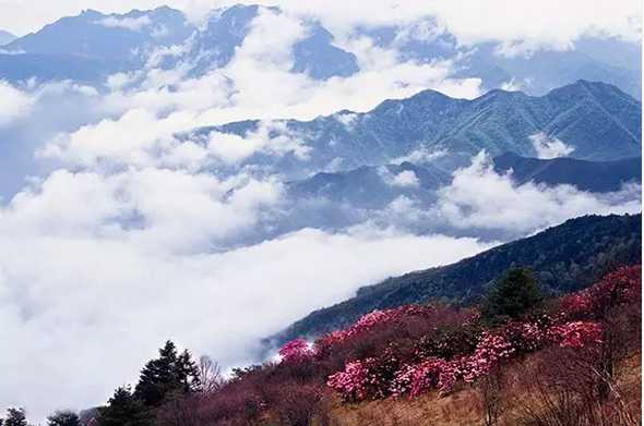 QQ图片20170823095802.png QQ图片20170823095802.png